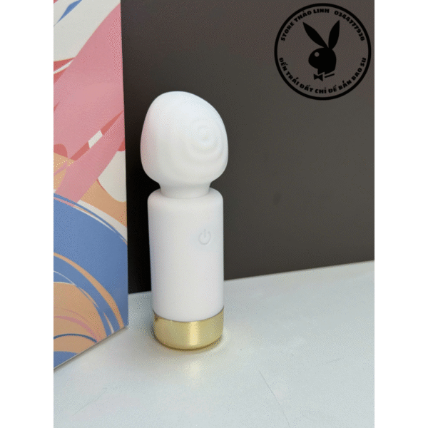 GÂY RUNG MINI - Ảnh 2